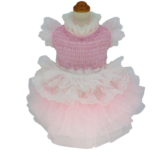 [}C]RRhX/NXo[fBiLuxe birdiej sN SSTCY