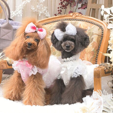 [^:9664]ŏiȈۂZAGKghX̌ŁBuRRhXv́A@ׂȃ[XƏ㎿ȃcC[hgݍ킹AD낳ӂꒅłBgbvXɂ́Â߂肰Ȃ܂񂾃cC[hfނgpBӂƗオptX[uƁAȃtŉꂽ݌炵Ă܂Bp[̃r[Y⃊{̃ANZgU΂߂A܂ŃvZX̂߂̃hX̂悤BXJ[gɂ͕w̃`[ƃ[XdˁAy₩ȃ{[oBтɂӂƍLAȗd̂悤ȃVGbgo܂BŜɂꂽ@ׂȃfBe[A360xǂ猩ĂۓIȑɁBJȖDŎdĂA񂿂̑̂ɂ₳tBbgBSnɂzĂAʂȓłSĒ܂Bo[Xf[p[eB[ABeAʂȂoAzf[CxgȂǂǂɂĂCiƉ܂ƂuRRhXvB؂ȓ̎voPĂA@̂悤ȈꒅłBTCY\SSTCYF21~35~24cmSTCYF24~39~28cmMTCYF27~43~31cmLTCYF31~48~36cm