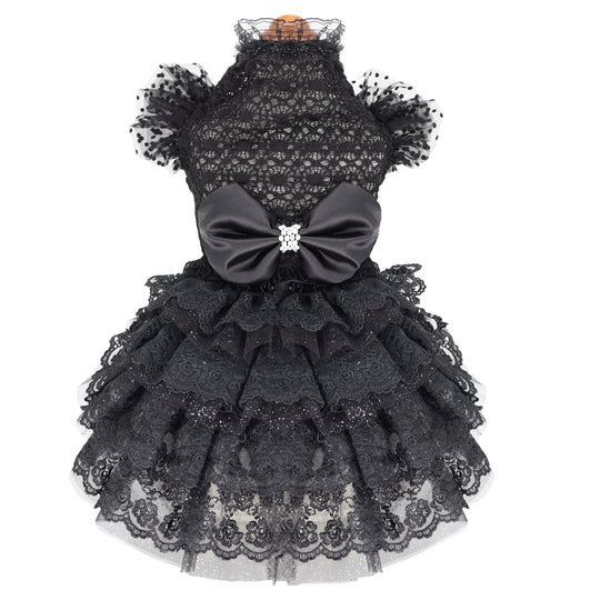 [}C]V}c[s[X/NXo[fBiLuxe birdiej ubN LTCY