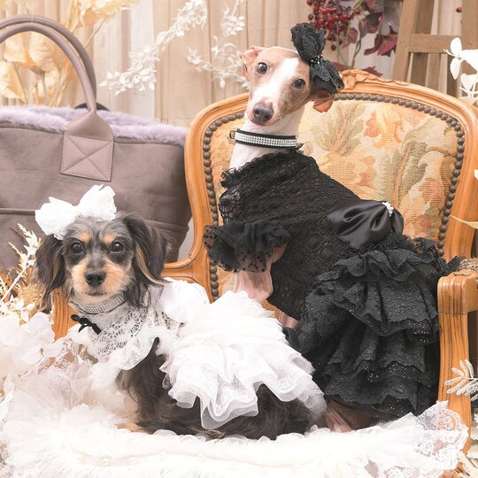 リュクスバーディ　フラムワンピース リュクスバーディ Luxe birdie フラムワンピース 小型犬 犬服