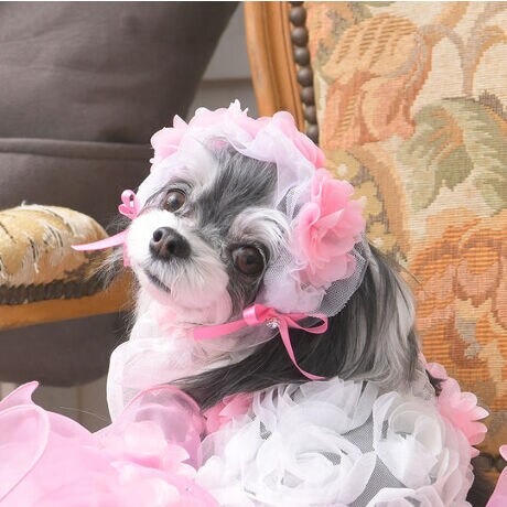 [^:9605]Ԃт̂悤ɉɏdȂ荇`[ɁA߂Xg[ƃTe{AGKgȘȂ܂̃wAANZT[uY{lbgvB@ׂȑfނƗ̓IȃtHDȂiȃfUĆA܂ŃNVJȃh[̂悤Ȉ炵o܂BSɍ炭t[`[tɂ́AD𔽎˂Xg[ЂƂЂƂJɓYAT߂ȂꂽPۓIBTCh̃{ŜɃoX^AANZgƂĂ̑݊ۗĂ܂BJ[́AӂƊÂ؂₩Ȉۂ́usNvƁAVbNŋCiYuubNv2FWJBǂR[fBl[g߂Aʐ^fQłB܂ALuxeƎ̎ob^̗pAт₳ݍނ悤Ȑ݌vɁB@ׂȖю┧ɂzAɂ݂aɂSn܂BBe₨Ă΂X^CAʂȂo͂ANR[fɂ҂B̃hXƍ킹΁A܂ŕꂩ甲oĂ̂悤ȋCiƈ炵ɕ܂܂BuY{lbgv́AEL̔ĂADȈiBɂƊYȂAʂȏuԂɉ؂YĂANZT[łB