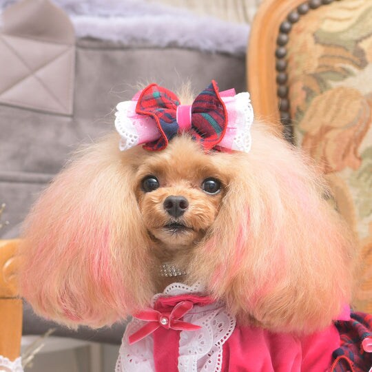 アイナバレッタ | リュクスバーディ(Luxe birdie) | マルイウェブチャネル