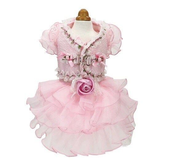 [}C]t[Ws[X&n[lX/NXo[fBiLuxe birdiej sN MTCY