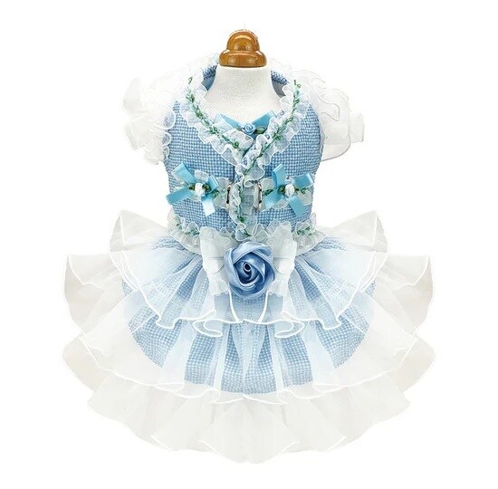 [}C]t[Ws[X&n[lX/NXo[fBiLuxe birdiej u[ STCY