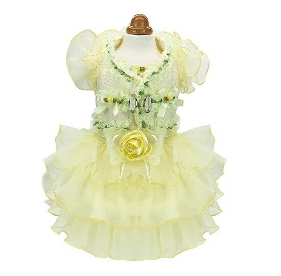 [}C]t[Ws[X&n[lX/NXo[fBiLuxe birdiej CG[ STCY