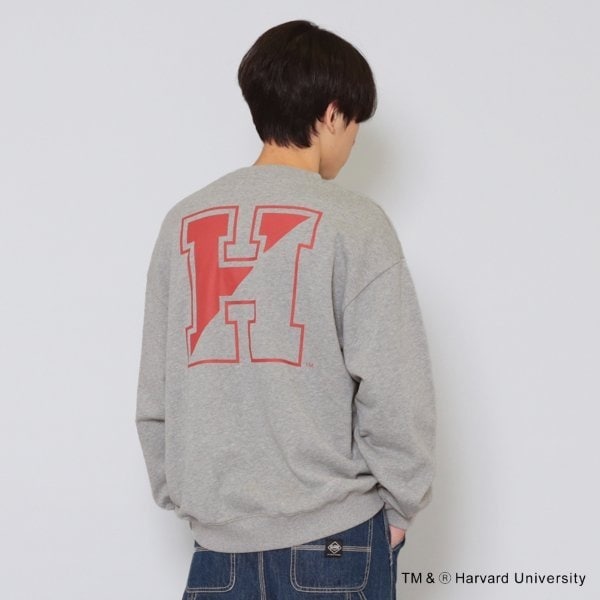[}C]ylTCYzyHARVARDzobNSvgg[i[/O\XiGLAZOSj O[