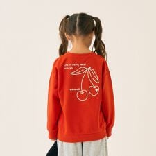 裏毛バックプリントアソートプルオーバー