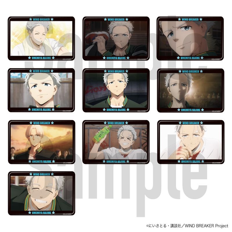 [�}���C]WIND BREAKER_�g���[�f�B���O�x�X�g�V���b�g�ʃo�b�W�R���N�V���� �~�{Ver. �S10��/colleize�icolleize�j