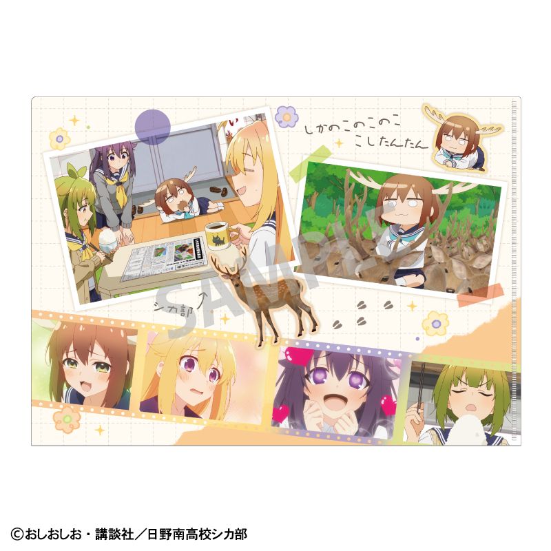 [}C]̂̂̂񂽂_A4VONAt@C_B/colleizeicolleizej