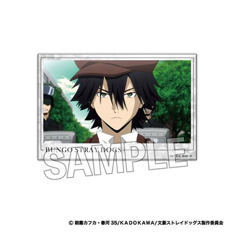 [^:186957]TVAjuXgChbOXv̏ʎʂS21̐ςݐς݃ubNɂȂēoł!yîm点z̏i͉i{Ă܂B͂鏤iɂĂ^Oȉꍇ܂ݕ\ĂTCg\i̔ił\߂܂悤肢\グ܂