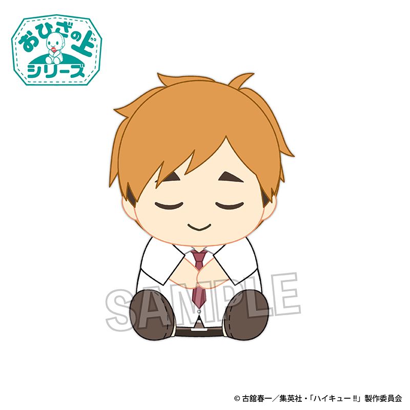 ハイキュー!!_おひざの上シリーズ お昼寝ver. 影山飛雄