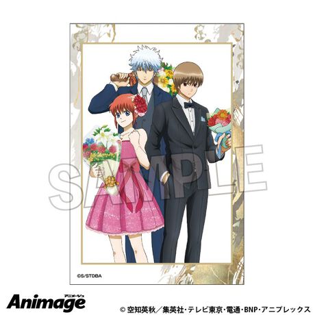 [^:178884]AnimagefڃCXggpObYIyîm点z̏i͉i{Ă܂B͂鏤iɂĂ^Oȉꍇ܂ݕ\ĂTCg\i̔ił\߂܂悤肢\グ܂