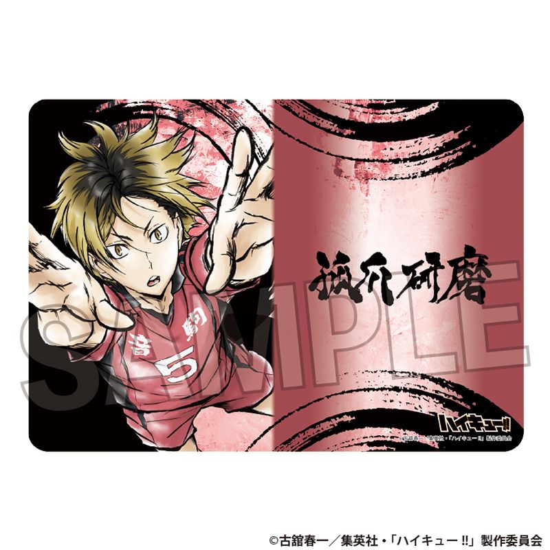 ハイキュー ガラスコップ＆ジロリぬいぐるみセット 烏野・音駒/日向翔