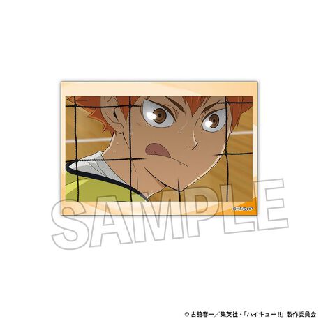 [^:169187]AjunCL[!!v̏ʎʂS20̃X^plɂȂēołIʂɃX^hp[cƃobWp[ctĂ܂X^hp[c͎[ł܂yîm点z̏i͉i{Ă܂B͂鏤iɂĂ^Oȉꍇ܂ݕ\ĂTCg\i̔ił\߂܂悤肢\グ܂