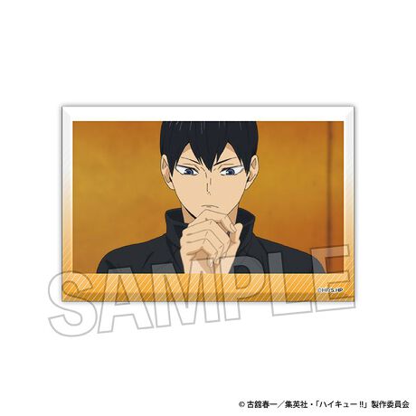 [^:169211]AjunCL[!!v̏ʎʂS20̐ςݐς݃ubNɂȂēołIyîm点z̏i͉i{Ă܂B͂鏤iɂĂ^Oȉꍇ܂ݕ\ĂTCg\i̔ił\߂܂悤肢\グ܂