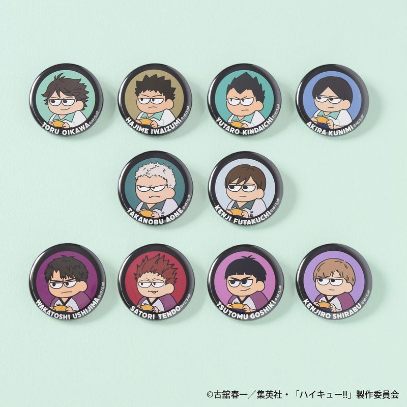 ハイキュー Vリーグ 原画 缶バッジ コンプリート 全種類 ハイキュー Vリーグ 原画 缶バッジ コンプリート 全種類 ハイキュー V