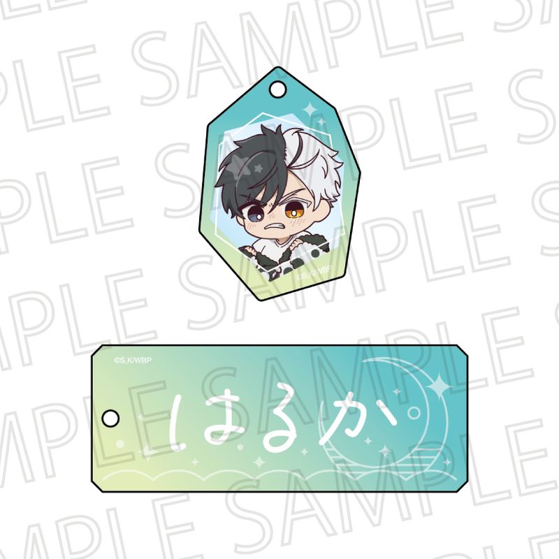 [}C]WIND BREAKER_炽 OL[z_[ y/colleizeicolleizej