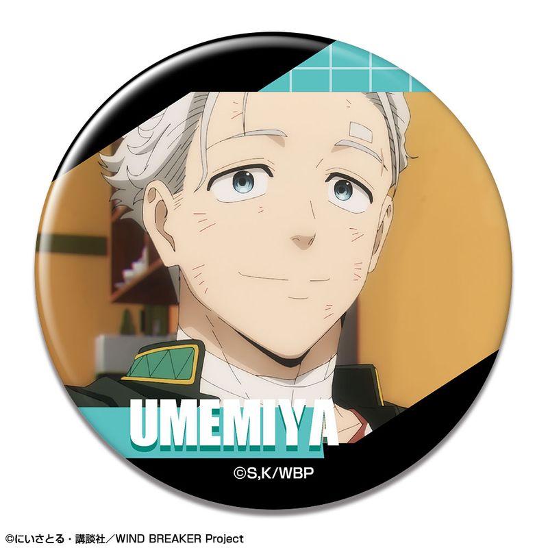 WIND BREAKER 梅宮 缶バッジ WIND BREAKER_缶バッジ デザイン23(梅宮一/G) | colleize | マルイ