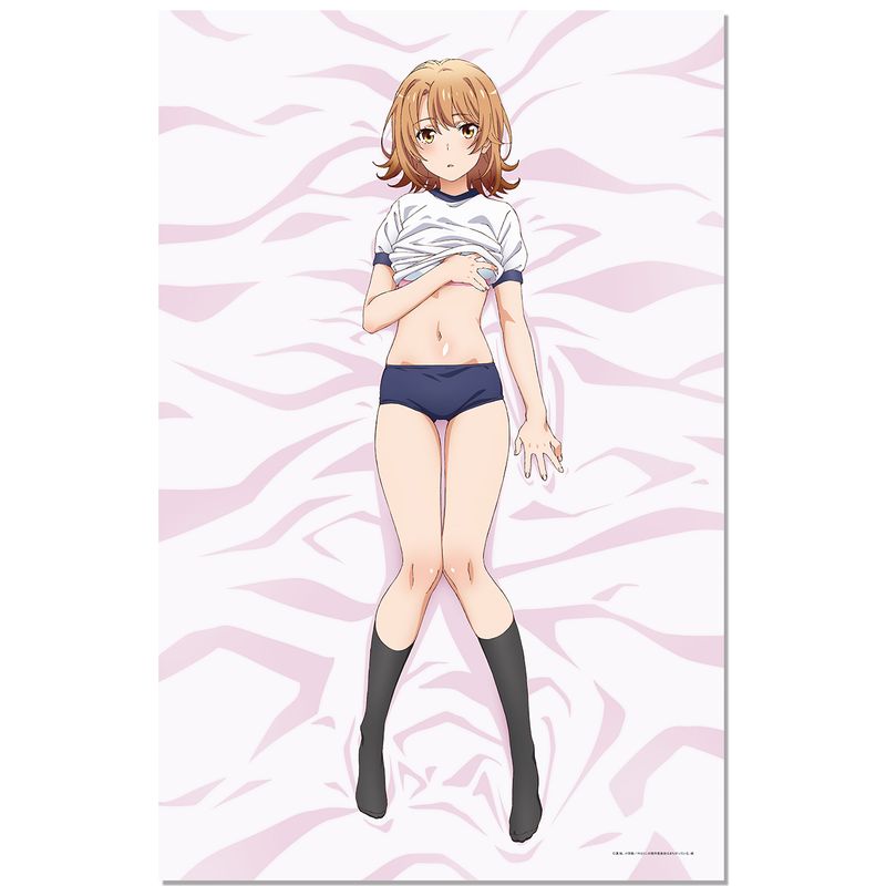 やはり俺の青春ラブコメはまちがっている。 ハイグレードタオルケット 一色いろは やはり俺の青春ラブコメはまちがっている。続_ハイグレード