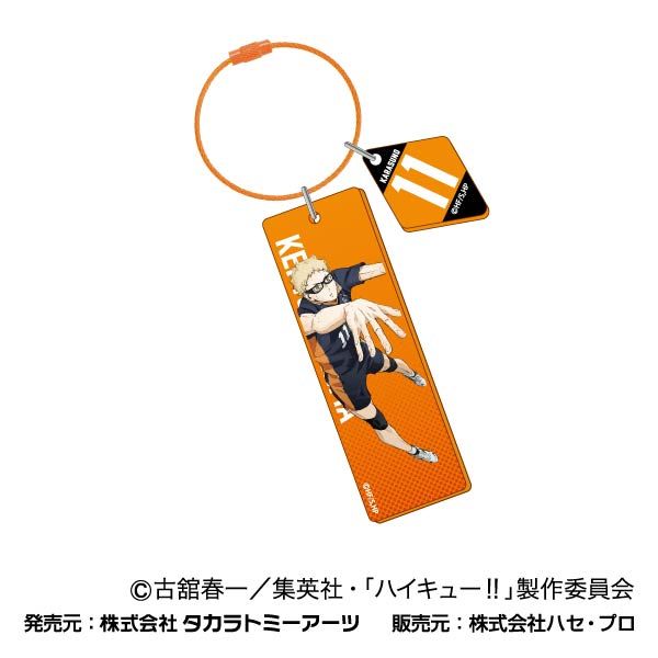 劇場版ハイキュー!! ゴミ捨て場の決戦_ワイヤープレートキーホルダー