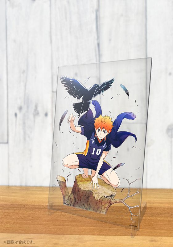 [}C]nCL[!!_ėz ANA[gX^h Ver.1.0/colleizeicolleizej