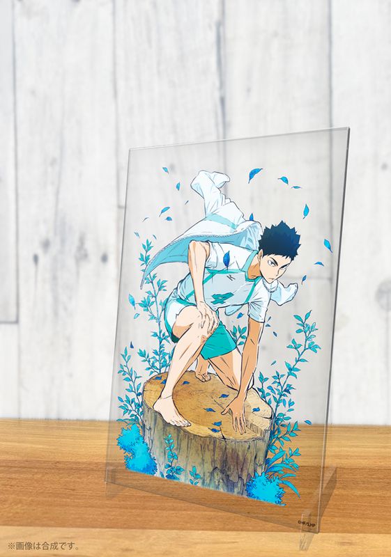 [}C]nCL[!!_ ANA[gX^h Ver.1.0/colleizeicolleizej