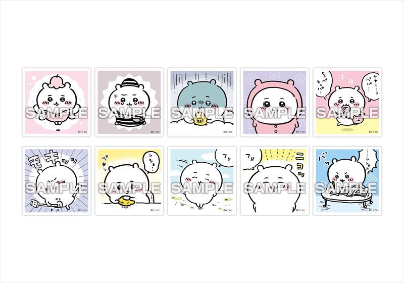 [}C]_߂ăV[K 1pcs/colleizeicolleizej