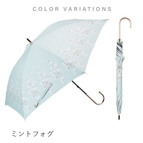 [^:S145-1113]V[ŎזɂȂȂȓPl݂̒łg₷傫ƌy̎PUVJbg99.9%EՌEՔM