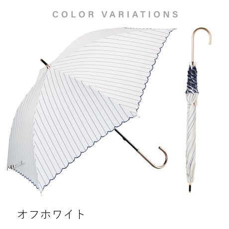 [^:S145-1113]V[ŎזɂȂȂȓPl݂̒łg₷傫ƌy̎PUVJbg99.9%EՌEՔM