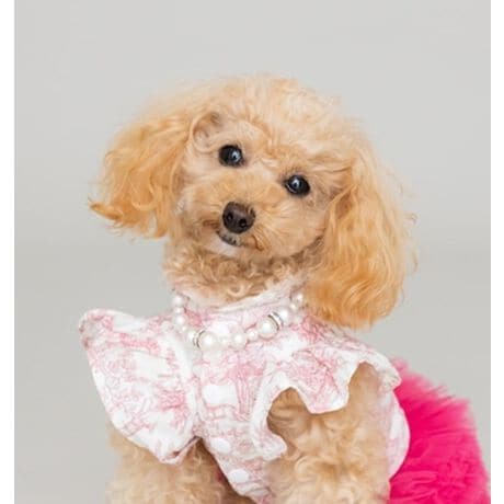 [^:A252508]ACERYAN IWiEtoile de Jouy Shirt (PINK)*Vĉ݃tX̒뉀C[WA炵ƋCi܂ƂAʂȈꖇhꂽVGbgŎdĂVcB@ׂȋhJ肰ȂPY܂B