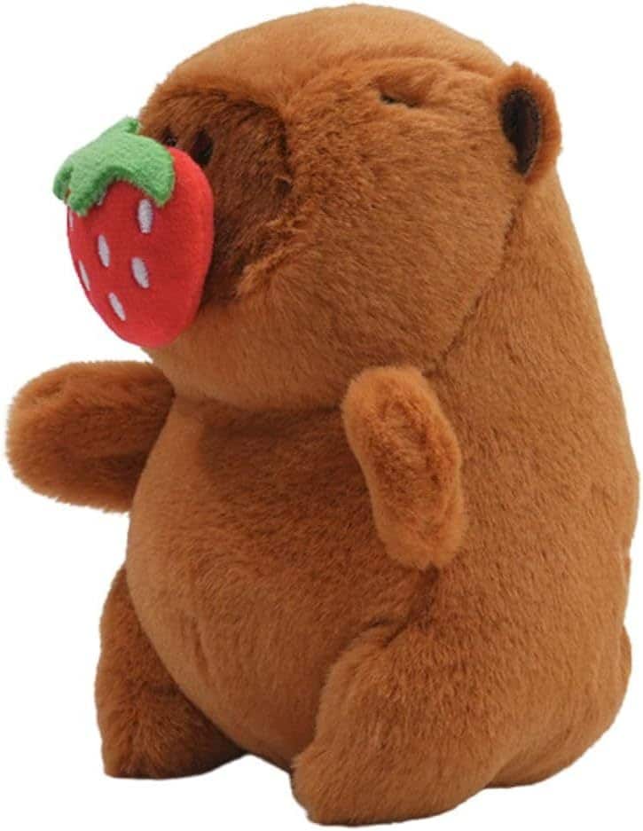 [�}���C]�J�s�o�� �ʂ������ �`���r�}�� �^�E���X �C�`�S 13cm �u���E�� ����t��/�N���A�X�g�[���iclearstone�j �u���E��