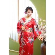 クリアストーン(clearstone)の【ハロウィン】コスプレ 着物 セット 赤孔雀 レディース レッド