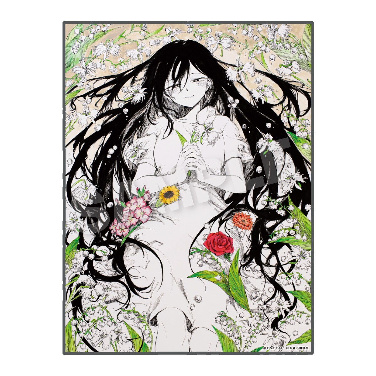 [�}���C]�y�M���V���i�zOMORI �u�����P�b�g�i�R�~�J���C�Y�`�����낵ver.�j/�X�e���m�[�c�iStellaNotes�j