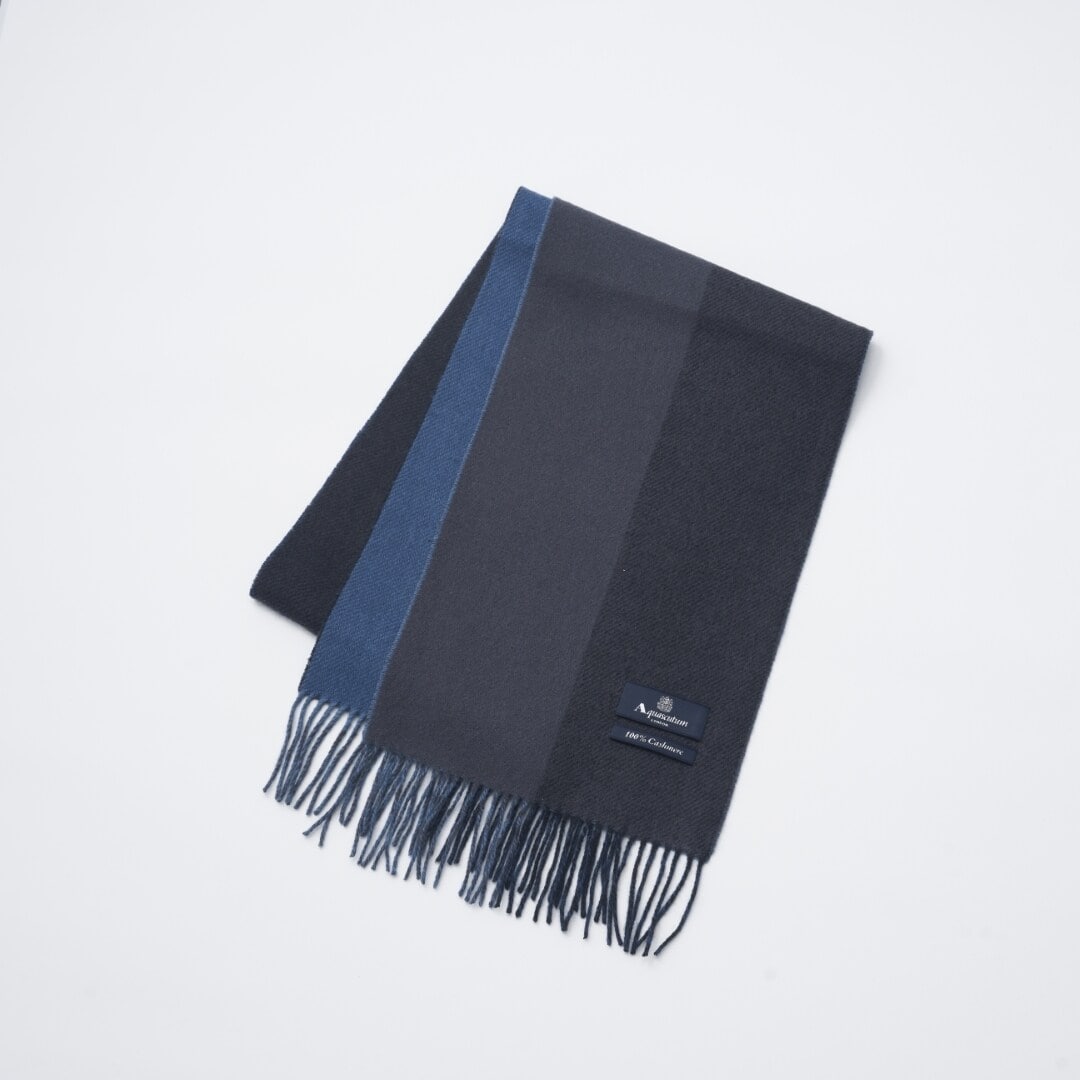 [}C]y}t[zANAXL[^bJV~ NH[^[\bh/NH[^[\bh o[Vu/ANAXL[^iAQUASCUTUMj 