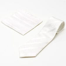 【フォーマルタイ】アクアスキュータム｜ペイズリーストライプ 同柄ポケットチーフ付き