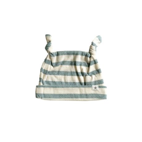 hイ̃V[YɃR[fBlCgXqłB