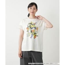 異素材切替プリントTシャツ【MUSE BY ROCHAS Premiere】