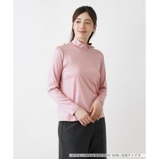 レリアン(Leilian)のシルクハイネックカットソー