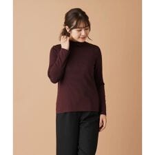 レリアン(Leilian)のナローボーダーハイネックカットソー