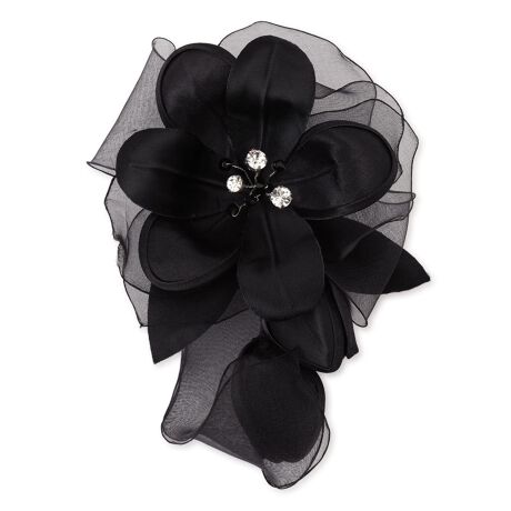 [^ԁF0401663]I[KW[̉ԕقgݍ킹ÅRT[WBɂ͋Pp[c߂Aґȕ͋Co܂B{[̂ACe͎͂̎W߂ł傤B