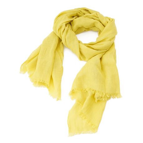 [^ԁF4300228]ƃRbguhAƂu₩ȔG̃Xg[B݂̂Fŏ{𑨂ACéÃX^CÔƂANZgƂĂÃvXACeƂĂ􂵂łBRpNgɏ߂̂ŁẢוɂ₷ꖇłB艿iōj́A2023N0629̃Z[JnO̓X܂ɂ̔iłB