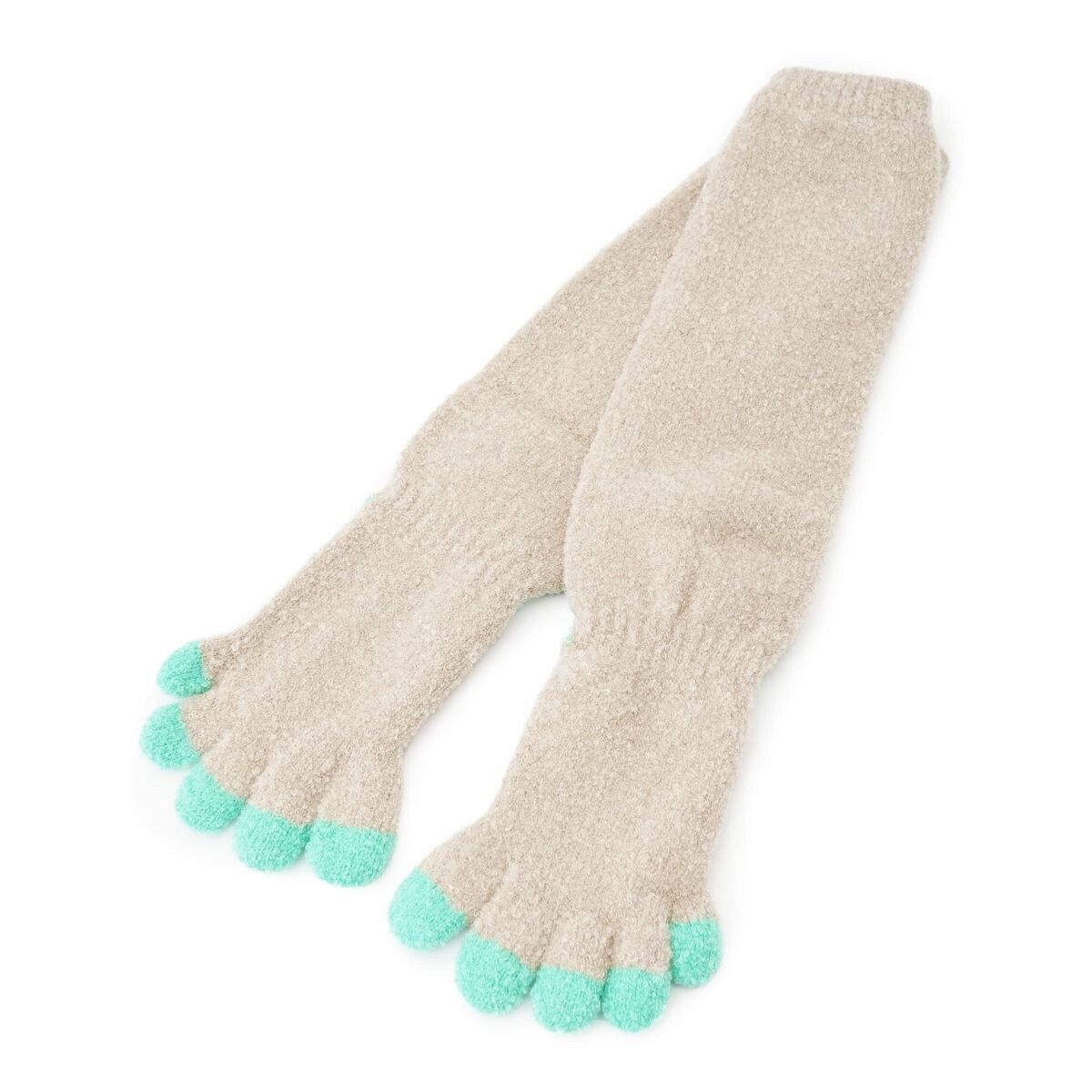 [}C]ܖ{wnC\bNX/LEIENXiCARA O CRUZj x[W