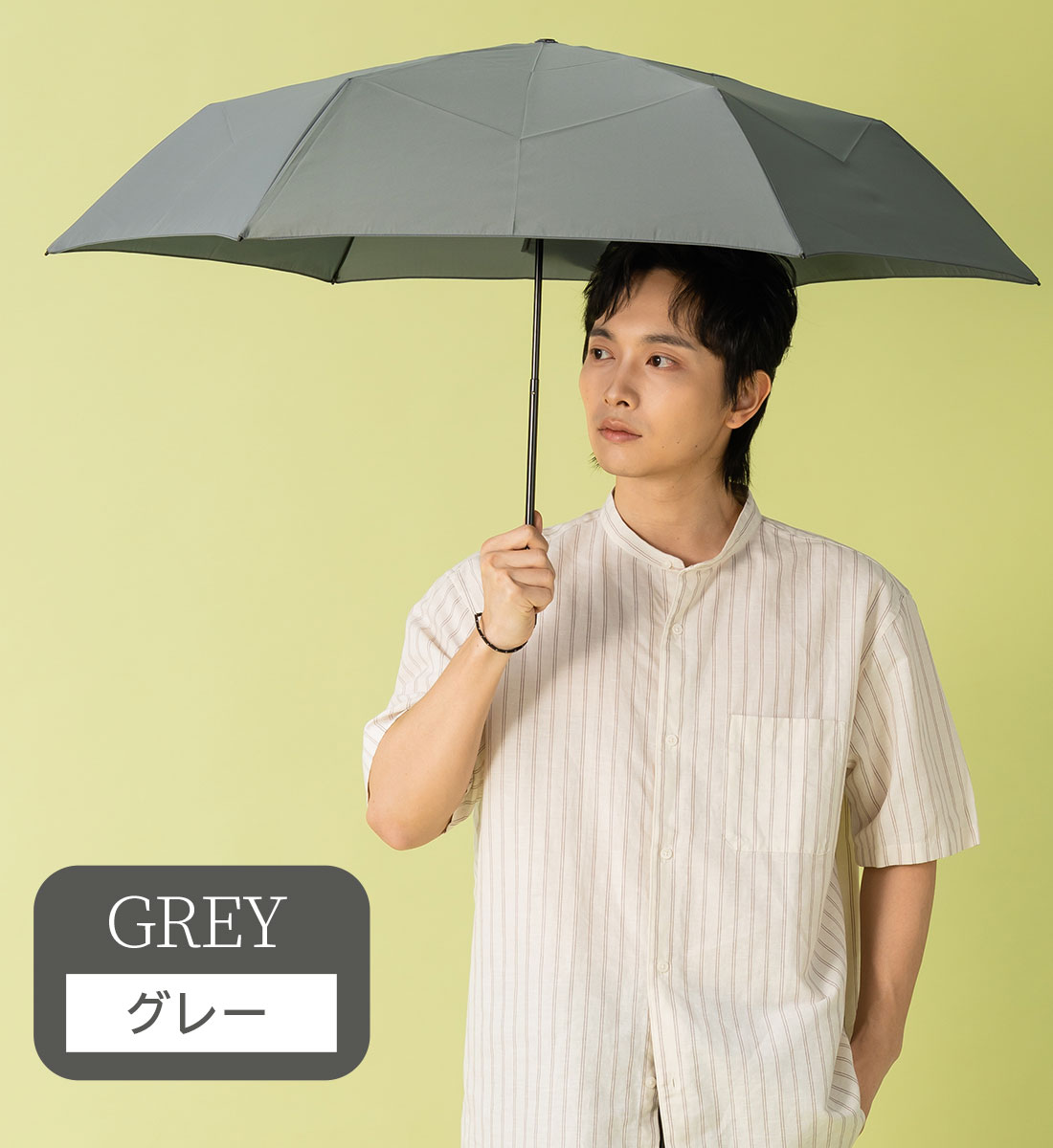 [�}���C]�`��L�� �J�P �܂肽���� �y�� �R���p�N�g 6�{��/55cm Selfold forte+/KIZAWA�iKIZAWA�j �O���[