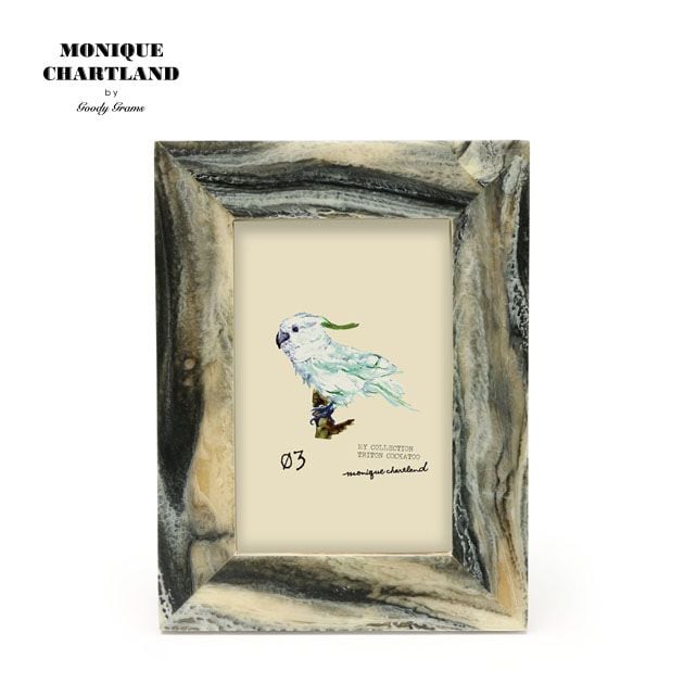 [}C]PHOTO FRAME YASH/j[N`[ghiMONIQUE CHARTLANDj