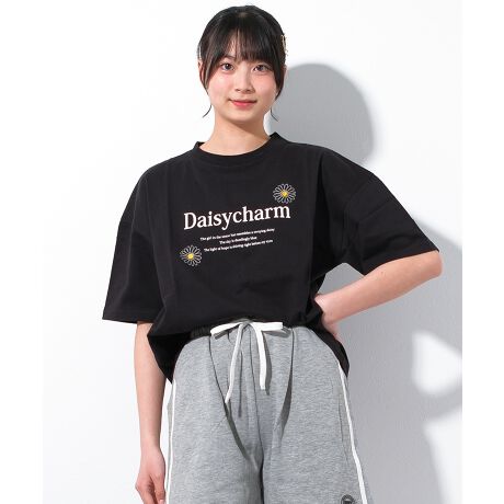 [^:RCTS252952]fCW[`[`[tɂhJ{ꂽTVcłBF̃fCW[hJANZgƂȂA؂₩vXfUCɁV[gpcXJ[g킹Ă炵R[fɂ҂łBn̓:WF͓LBCi[K{łB