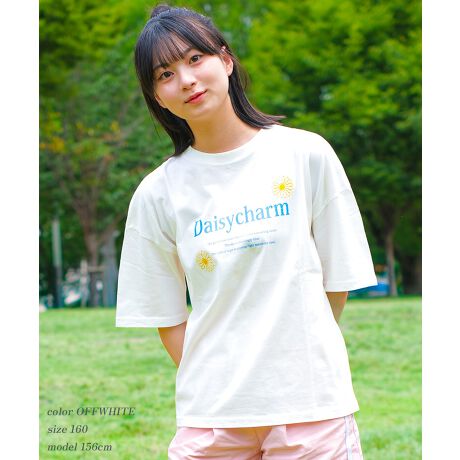 [^:RCTS252952]fCW[`[`[tɂhJ{ꂽTVcłBF̃fCW[hJANZgƂȂA؂₩vXfUCɁV[gpcXJ[g킹Ă炵R[fɂ҂łBn̓:WF͓LBCi[K{łB