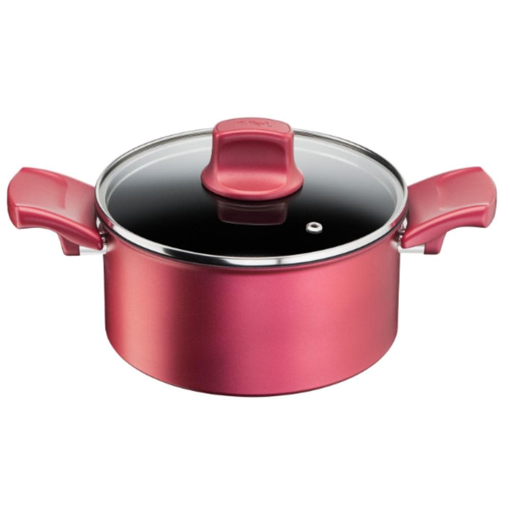 [�}���C]T-fal(�e�B�t�@�[��) ���[�W���E�A�����~�e�b�h �V�`���[�|�b�g 20cm G26244/�e�B�t�@�[���iT-fal�j ���[�W��