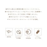 KINUJO ストレートアイロン 海外対応 KINUJO W ワールドワイドモデル 